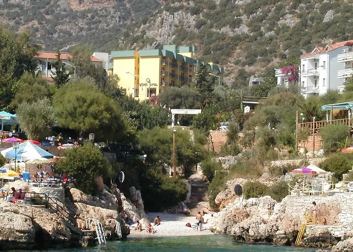 Ekici 3*