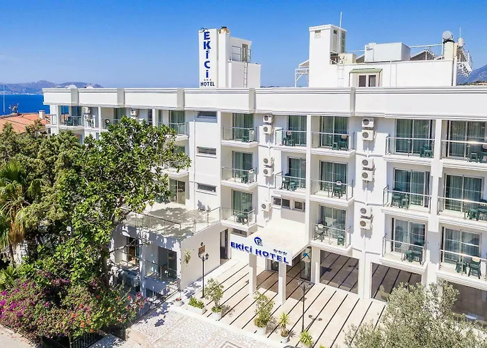 Ekici Kaş
