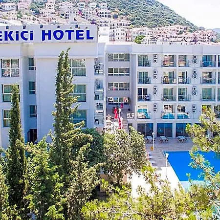 فندق Ekici 3*