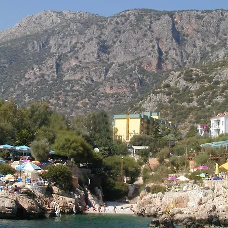 Ekici 3*