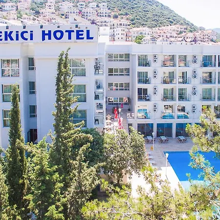 فندق Ekici 3*