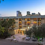 Ekici Kaş
